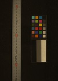 History of the expedition in Asia, 1927-1935