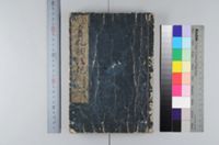 Chinese characteristics