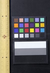 英語週刊彙編第一冊