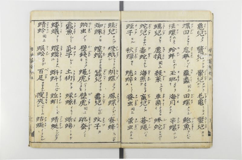 唐話纂要 6巻 - ページ 13