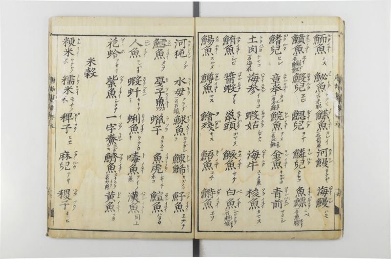 唐話纂要 6巻 - ページ 17