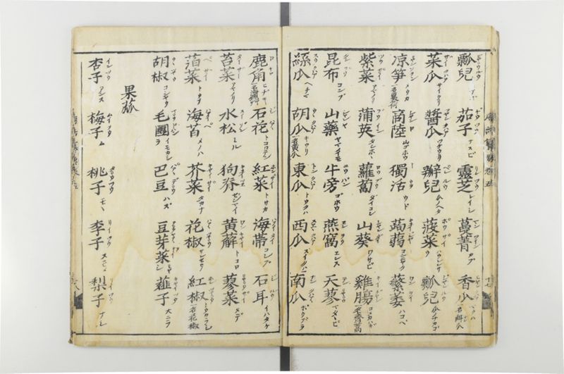 唐話纂要 6巻 - ページ 19