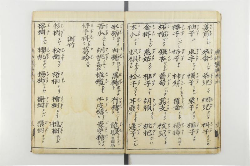 唐話纂要 6巻 - ページ 20