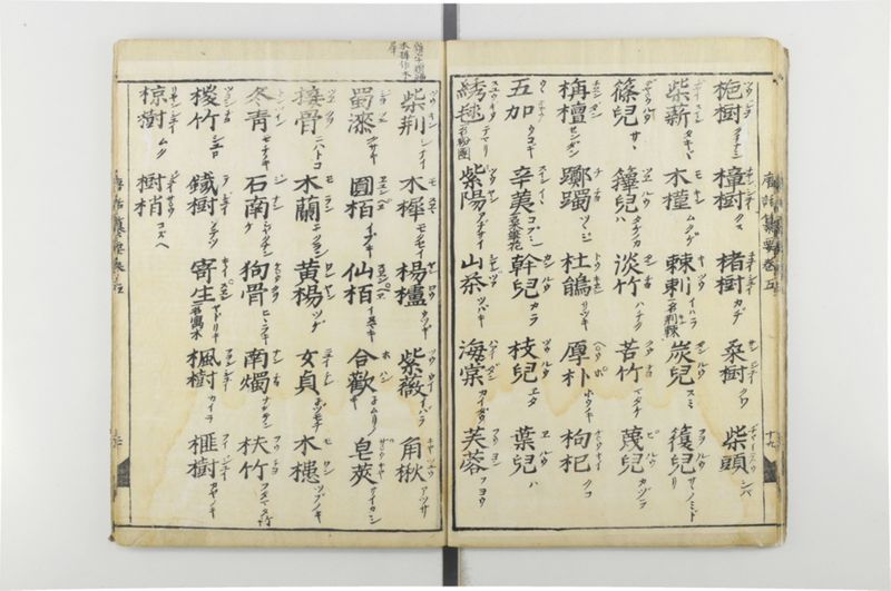 唐話纂要 6巻 - ページ 21
