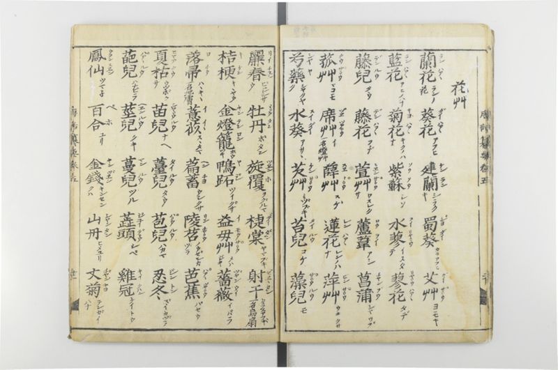 唐話纂要 6巻 - ページ 22